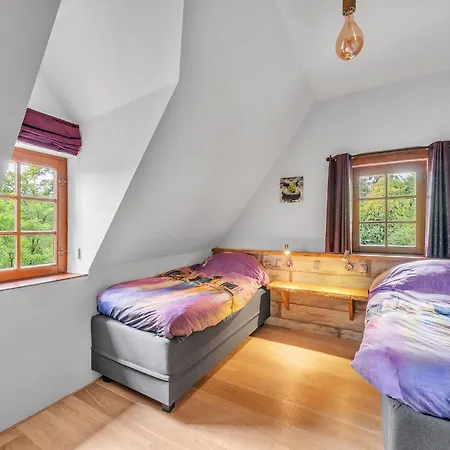 In Czechia With Heated Pool & Mountain Views Vidochov