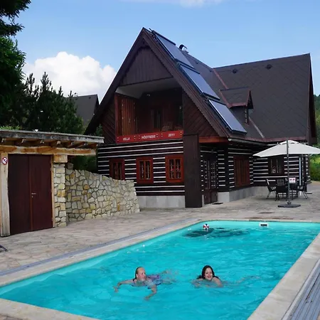 In Czechia With Heated Pool & Mountain Views Vidochov