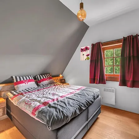 In Czechia With Heated Pool & Mountain Views Villa Vidochov