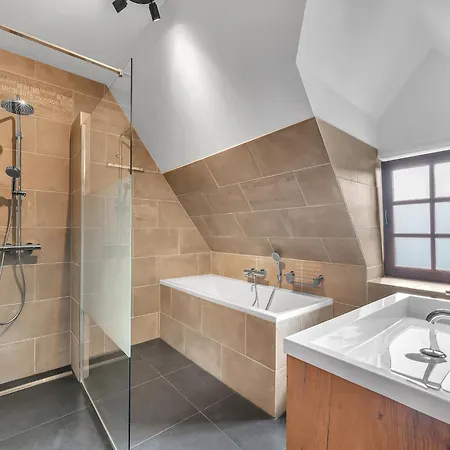 In Czechia With Heated Pool & Mountain Views Vidochov