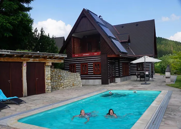 In Czechia With Heated Pool & Mountain Views Vidochov