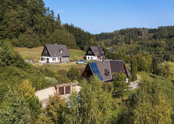 Willa In Czechia With Heated Pool & Mountain Views Vidochov
